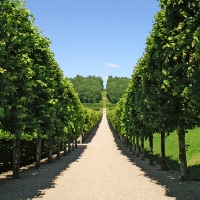 Technique de coaching Emotions et mental